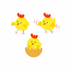Vector set of cute cartoon chicken baby bird birth, first step, flight isolated on white. Design for nursery card, print, pattern, easter, postcard