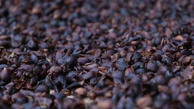 Cascara coffee cherry tea made from dried skins of coffee plant berries.