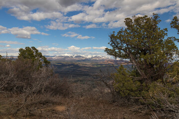 View from Point Lookout Trail, Mesa Verde National Park, Colorado

