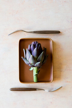 Modern kitchenware with artichoke