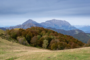 Pastures and woods along the Imagna valley in autumn. In the background the Grignetta and the Grigna - Orobie - italian Alps