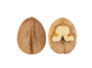ripe walnut on a white background