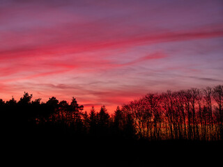 Fototapeta premium Abendrot mit schönen Wolken und Bäumen in der Ferne