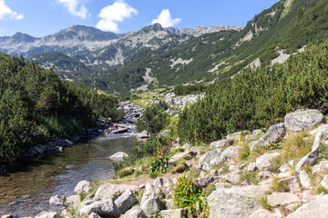 Fototapeta na wymiar Landscape of Banderitsa River Valley, Pirin Mountain, Bulgaria