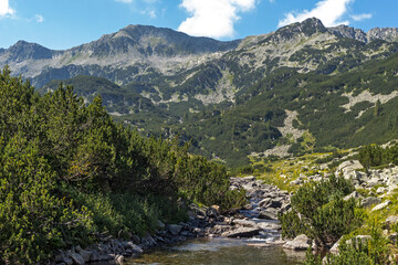 Fototapeta na wymiar Landscape of Banderitsa River Valley, Pirin Mountain, Bulgaria