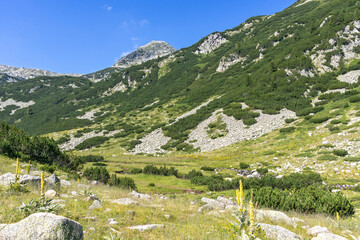 Landscape of Banderitsa River Valley, Pirin Mountain, Bulgaria