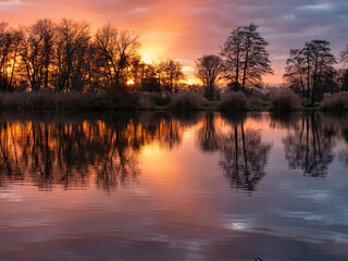 Obraz premium fantastischer Sonnenuntergang am See mit schönen Bäumen im Hintergrund