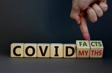 Hand turns cubes and changes the expression 'covid myths' to 'covid facts'. Beautiful grey background. COVID-19 pandemic concept. Copy space.