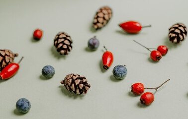 Naklejka na ściany i meble Small pine cones with blue and red winter berries composition on a faded green background Christmas background