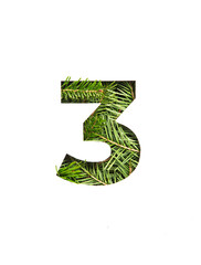 Number three of natural evergreen spruce tree and paper cut in shape of third numeral isolated on white. Typeface of fir