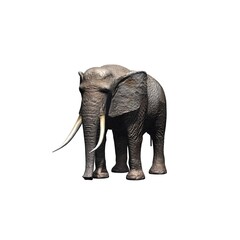 Fototapeta na wymiar Wild animals - elephant - isolated on white background - 3D illustration