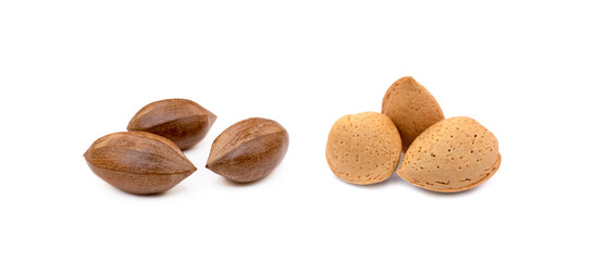 Fresh pecan nuts and almonds isolated on a white background