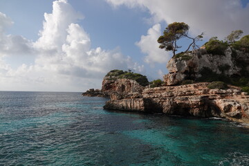 CALA ALMUNIA 4 MALLORCA