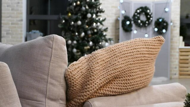 Small terrier puppy in front of xmas tree