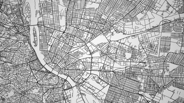 Ink reveal animation of city center grid map. Aerial top view. Blueprint style. Black lines with white background. Seamless loop.