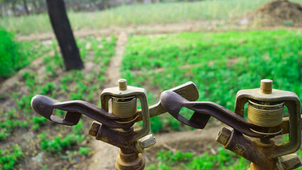 An Indian irrigation system is watering the crop field. Sprinkler system in India. Winter wheat crops