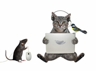 A gray cat in headphones is sitting with a laptop. A rat holds a computer mouse. White background. Isolated.