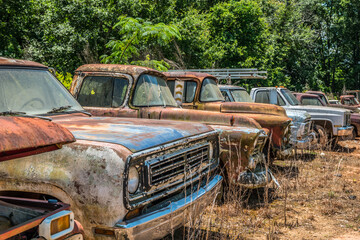 Retired work trucks abandoned
