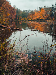 Vertical landscape photo of moody and dramatic lake with colorful trees in water reflection. Lake in forest in fall with mirror reflection of beautiful trees.