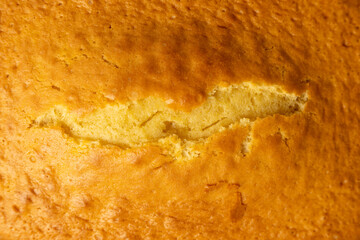 homemade sponge cake, on wooden background