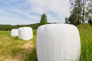 Packed in white plastic polyethylene haystacks. Haystacks in PVC film packaging with modern technology on the green summer field for livestock feeding. Modern agricultural technologies.