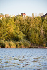 urban nature of autumn1