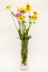 wild flowers in vase