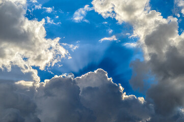 winning a ray of sunshine