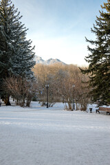 winter park with view on a mountains
