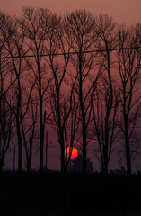 atardecer rojo