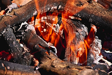 Bonfire in the bush on a sunny day