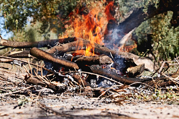 Bonfire in the bush on a sunny day