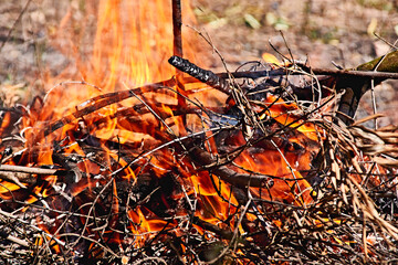 Bonfire in the bush on a sunny day