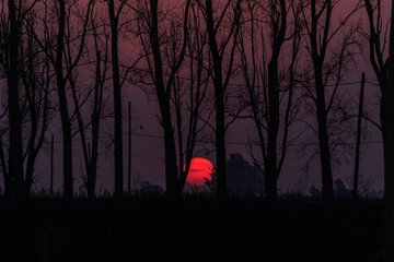 atardecer rojo