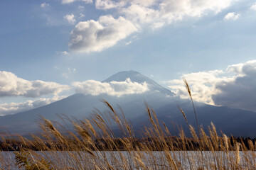 Naklejka premium View of mountain Fuji in autumn (Japon)