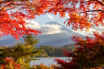 Naklejka na ściany i meble View of mountain Fuji in autumn (Japon)