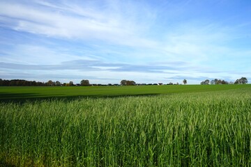 Ländlicher Raum: Landwirtschaft im Vordergrund und Häuser, Dächer einer Wohnsiedlung im Hintergrund