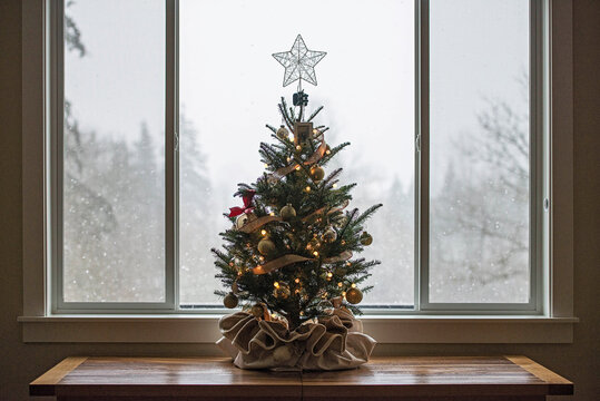 Christmas Tree On Table Against Window At Home