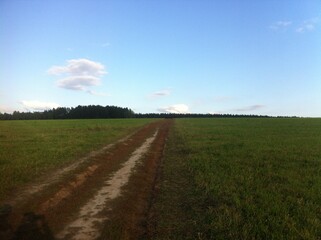 road in the field