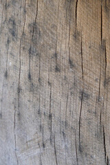 Weathered wooden surface with cracks. Vertical image. Copy space. 