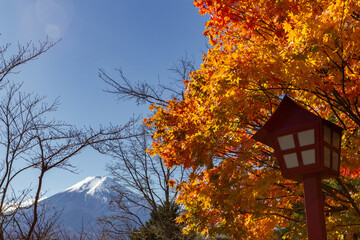 View of mountain Fuji in autumn (Japon)