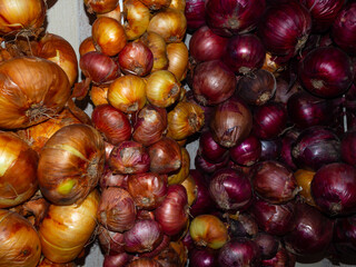 mix of onions red and white