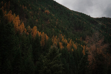 sunset in the mountains