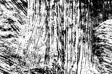 Black and white grunge texture. Black streaks of paint, ink, and dirt. Abstract monochrome background. Pattern of scratches, chips, and wear