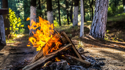fogata en el bosque