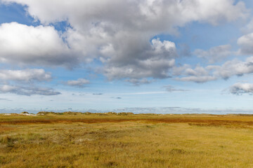 clouds over the field