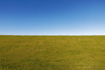 field and blue sky