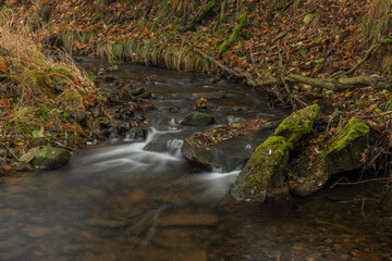 Olsovy creek near Petrovice village in Krusne mountains in autumn morning