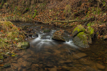 Naklejka na ściany i meble Olsovy creek near Petrovice village in Krusne mountains in autumn morning