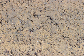 texture of clay wall from clay house, clay background